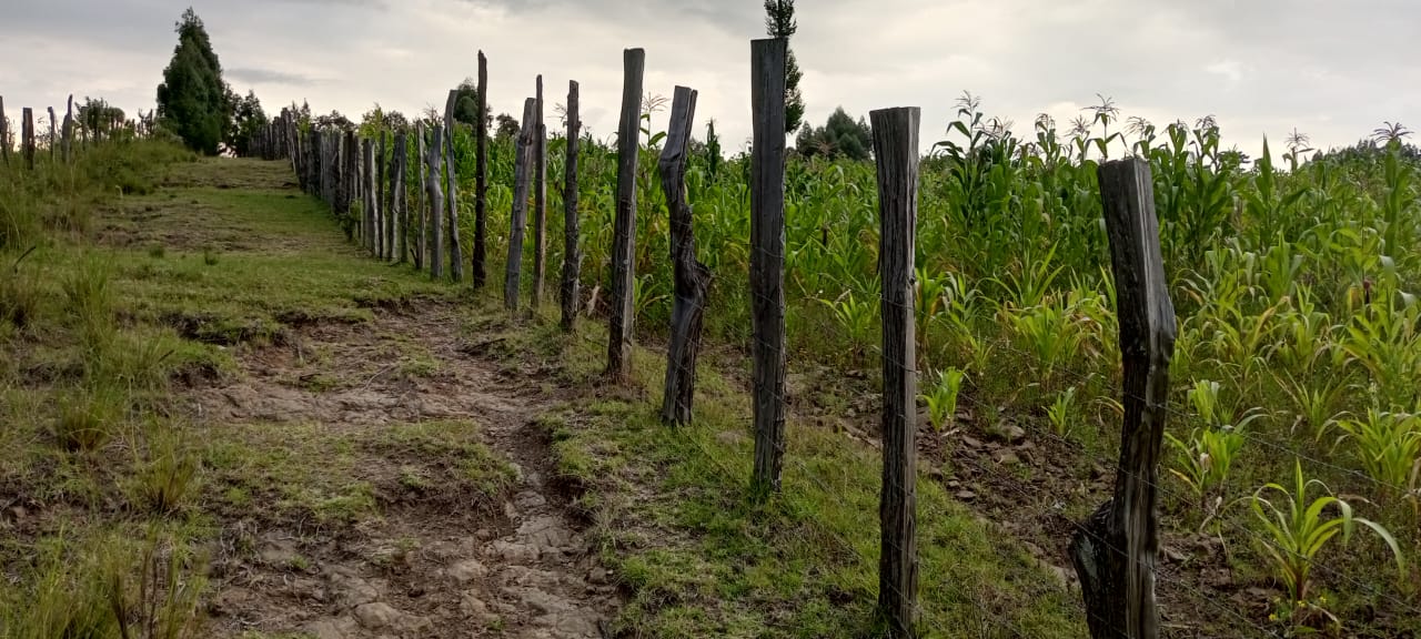 land for sale in Narok – Rotian access road